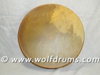 Circle of Life Drum - Horse Rawhide 18inch drum